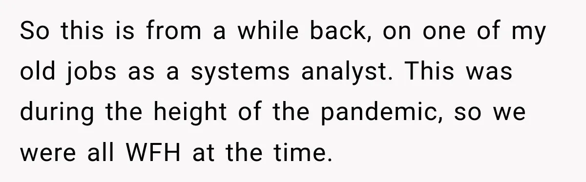 So this is from a while back, on one of my old jobs as a systems analyst. This was during the height of the pandemic, so we were all WFH...
