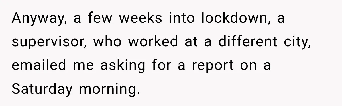 Anyway, a few weeks into lockdown, a supervisor, who worked at a different city, emailed me asking for a report on a Saturday morning.
