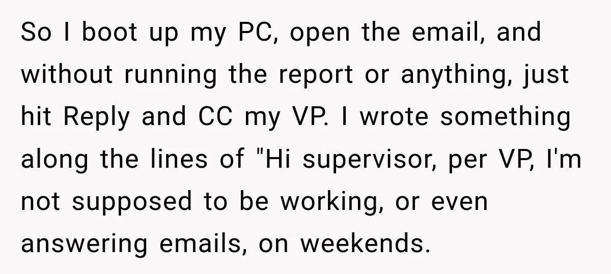 So I boot up my PC, open the email, and without running the report or anything, just hit Reply and CC my VP. I wrote something along the lines of...