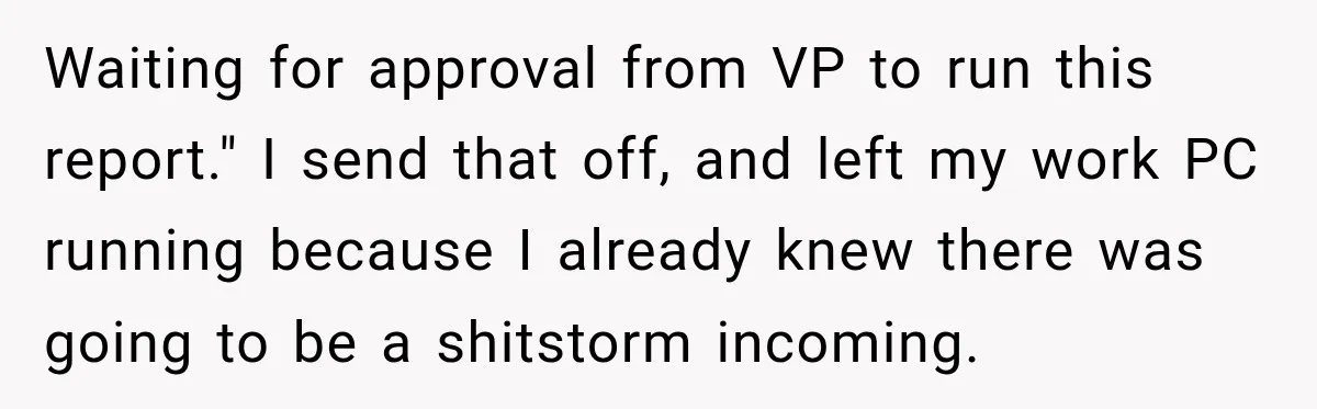 Waiting for approval from VP to run this report." I send that off, and left my work PC running because I already knew there was going to be a shitstorm...