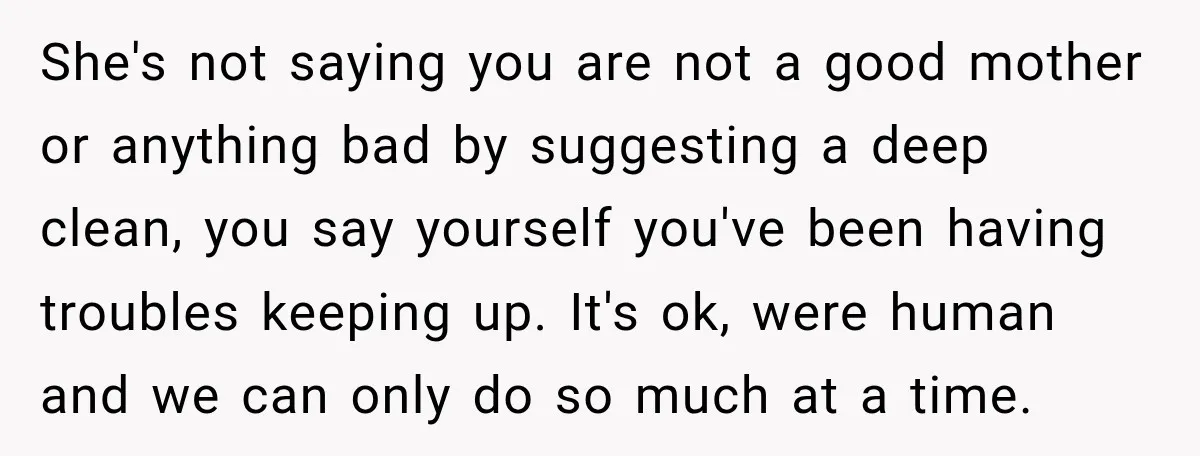 She's not saying you are not a good mother or anything bad by suggesting a deep clean, you say yourself you've been having troubles keeping up. It's ok, were human...