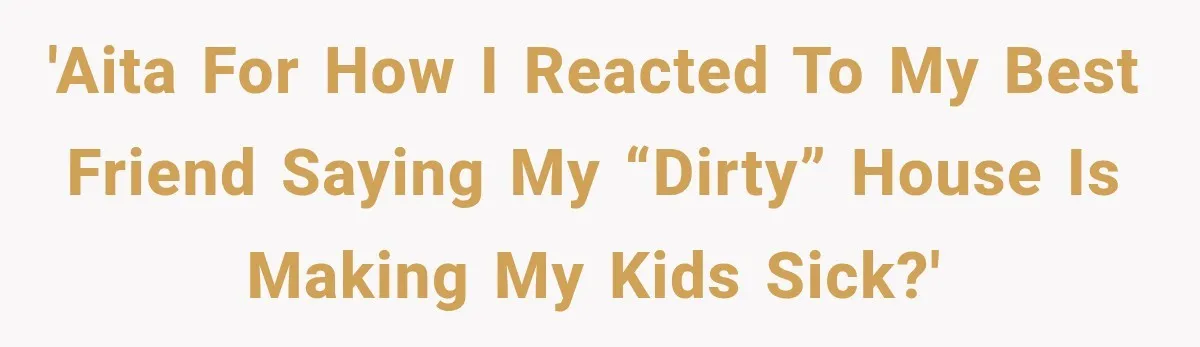 'AITA for how I reacted to my best friend saying my “dirty” house is making my kids sick?'