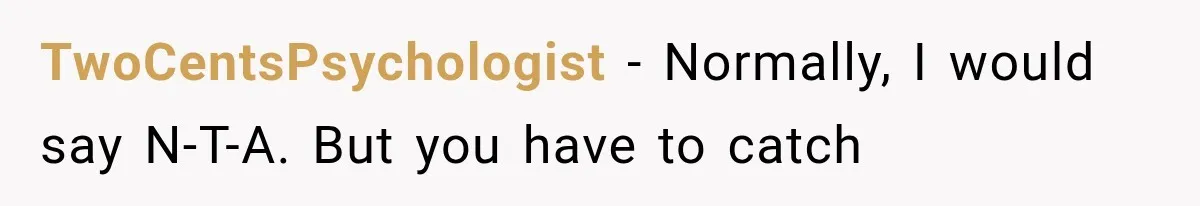 TwoCentsPsychologist − Normally, I would say N-T-A. But you have to catch