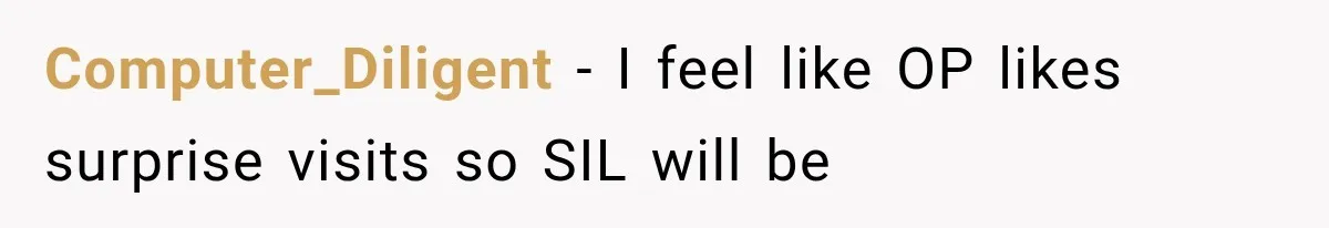 Computer_Diligent − I feel like OP likes surprise visits so SIL will be