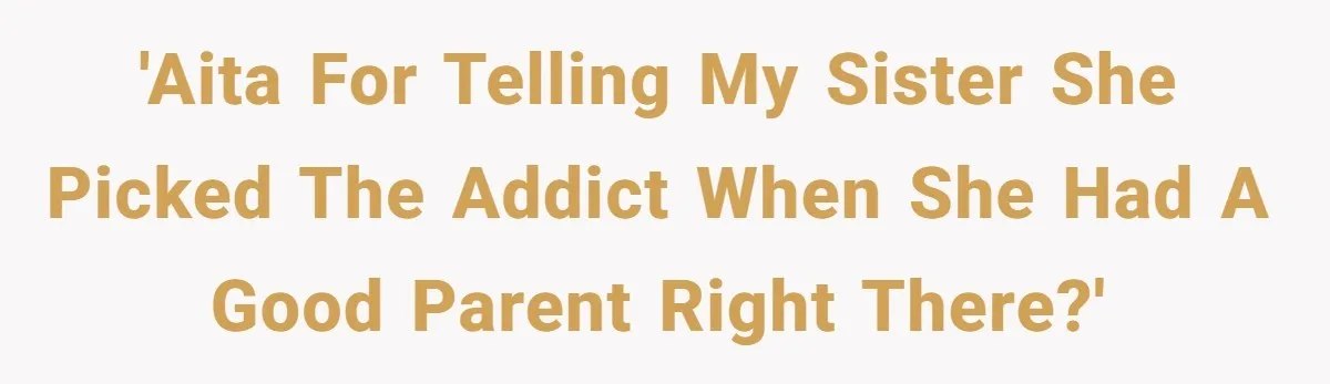 'AITA for telling my sister she picked the addict when she had a good parent right there?'