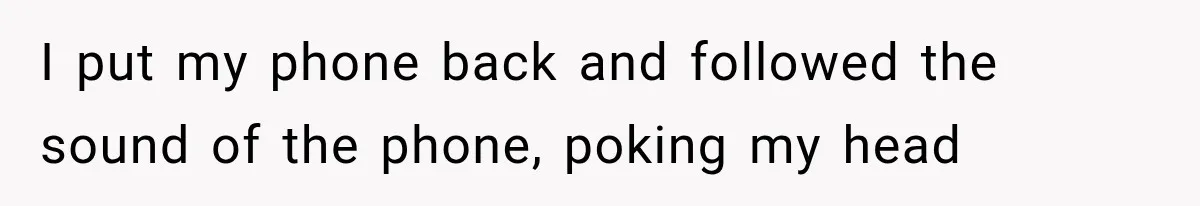 I put my phone back and followed the sound of the phone, poking my head