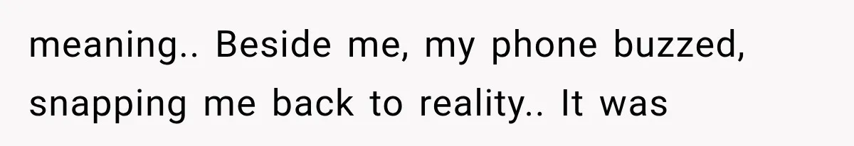 meaning.. Beside me, my phone buzzed, snapping me back to reality.. It was