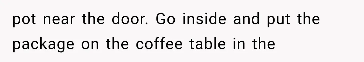 pot near the door. Go inside and put the package on the coffee table in the