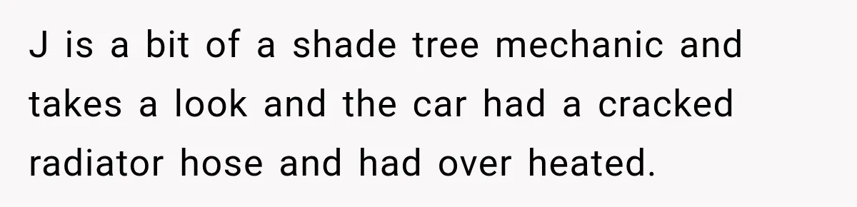 J is a bit of a shade tree mechanic and takes a look and the car had a cracked radiator hose and had over heated.