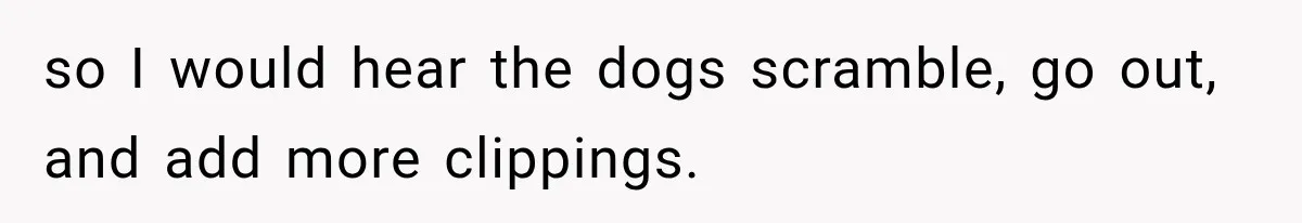 so I would hear the dogs scramble, go out, and add more clippings.