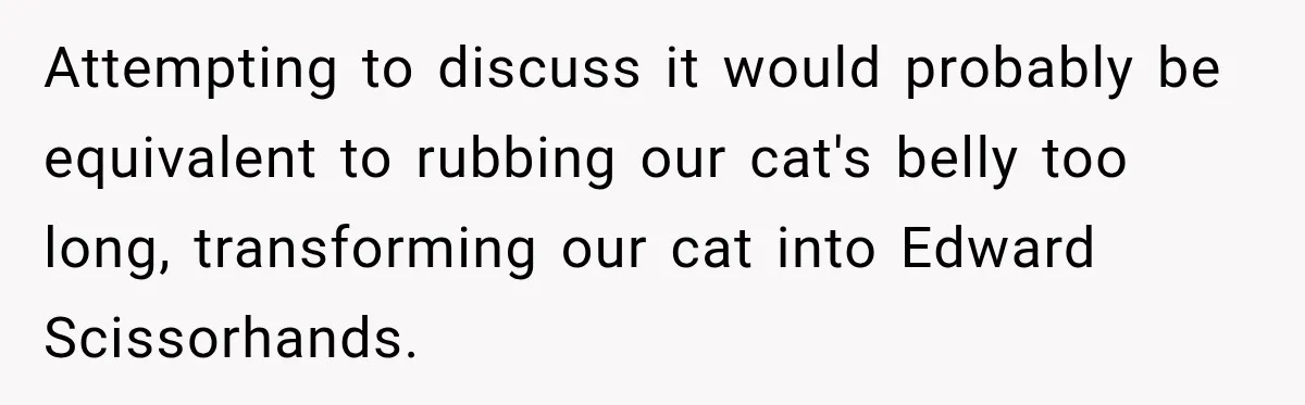 Attempting to discuss it would probably be equivalent to rubbing our cat's belly too long, transforming our cat into Edward Scissorhands.