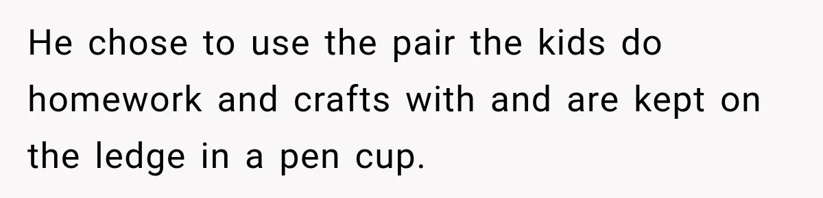 He chose to use the pair the kids do homework and crafts with and are kept on the ledge in a pen cup.