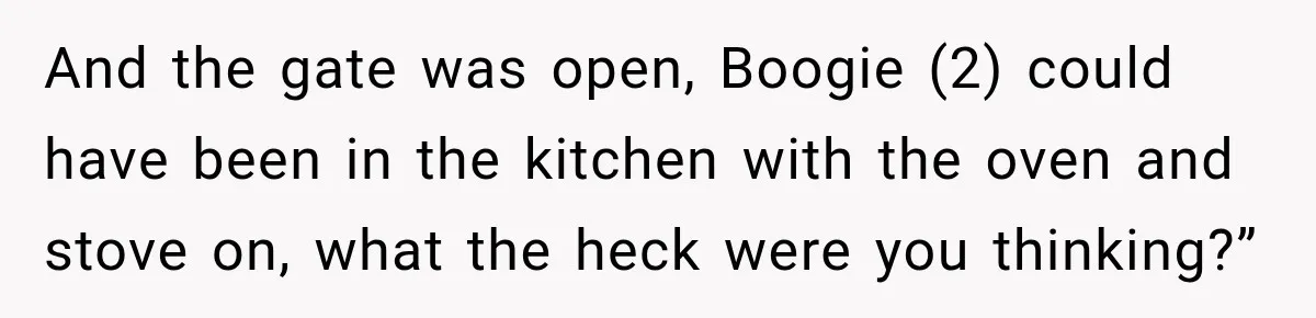 And the gate was open, Boogie (2) could have been in the kitchen with the oven and stove on, what the heck were you thinking?”