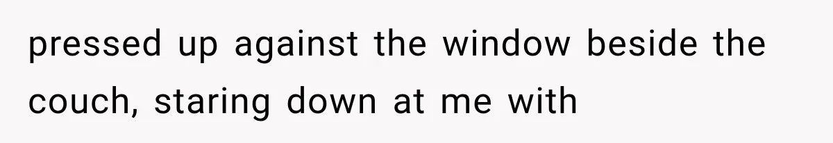 Man Thinks His Wife Is Playing a Creepy Peeking Game, Then Finds Her Hiding Under the Bed With a Shard of Glass pressed up against the window beside the couch, staring down at me with