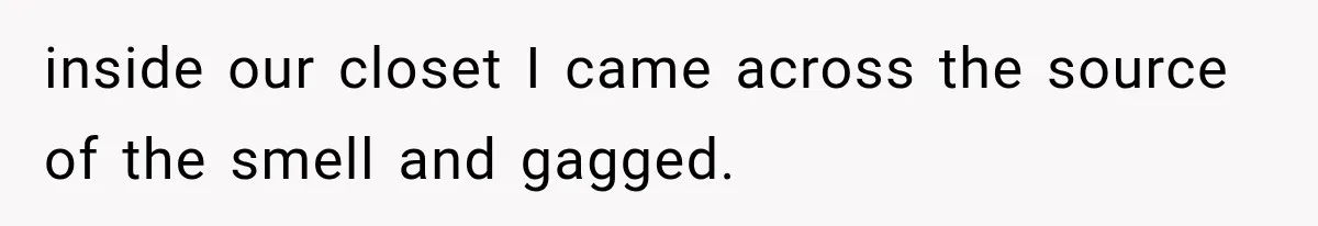 Man Thinks His Wife Is Playing a Creepy Peeking Game, Then Finds Her Hiding Under the Bed With a Shard of Glass inside our closet I came across the source of the smell and gagged.