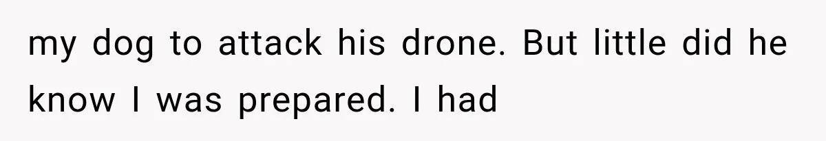 Neighbor Harasses a Dog With His Drone for Months, Then Sues After the Dog Finally Destroys It my dog to attack his drone. But little did he know I was prepared. I had