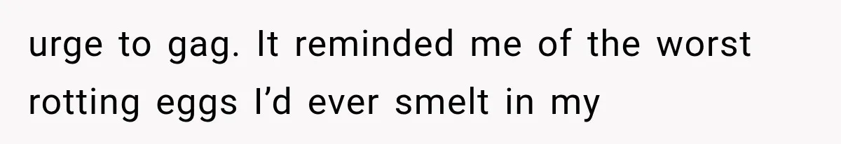 Man Wakes Up Mid-Flight Over an Endless Ocean, Then Realizes Every Clock Is Frozen at 4:03 AM urge to gag. It reminded me of the worst rotting eggs I’d ever smelt in my