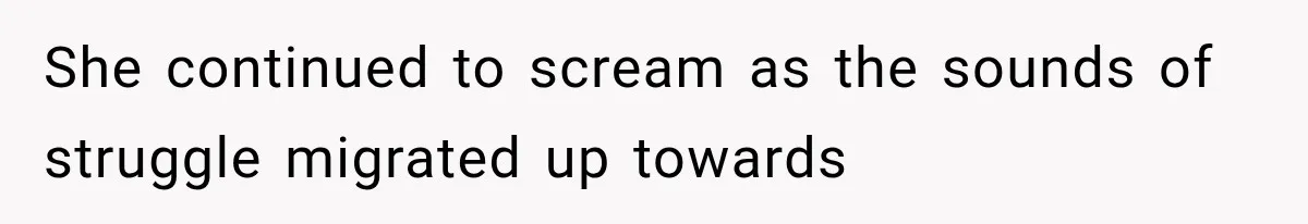 Man Wakes Up Mid-Flight Over an Endless Ocean, Then Realizes Every Clock Is Frozen at 4:03 AM She continued to scream as the sounds of struggle migrated up towards