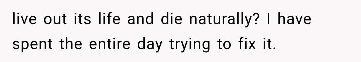 live out its life and die naturally? I have spent the entire day trying to fix it.
