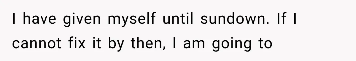 I have given myself until sundown. If I cannot fix it by then, I am going to