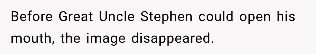 Before Great Uncle Stephen could open his mouth, the image disappeared.