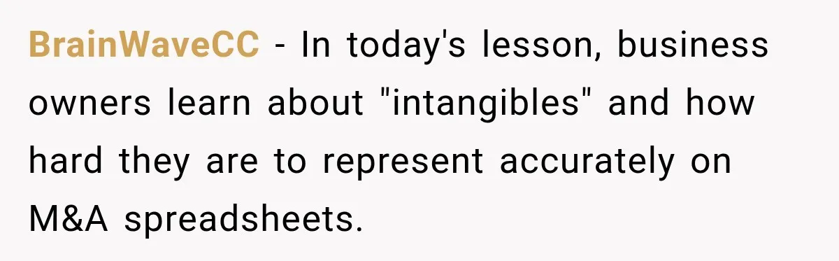 BrainWaveCC − In today's lesson, business owners learn about "intangibles" and how hard they are to represent accurately on M&A spreadsheets.
