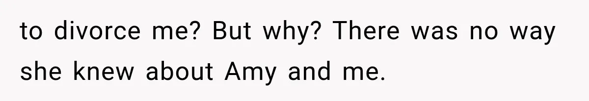 to divorce me? But why? There was no way she knew about Amy and me.