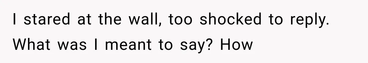 I stared at the wall, too shocked to reply. What was I meant to say? How