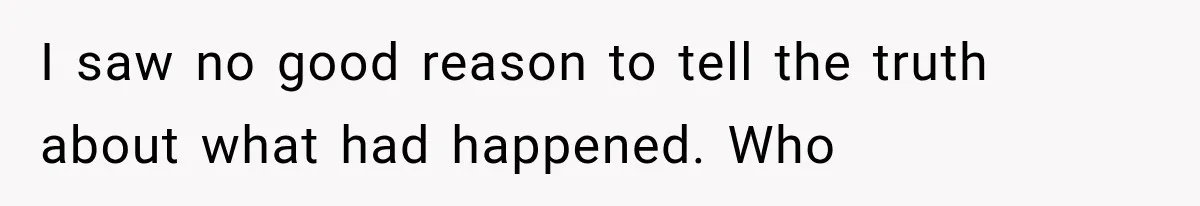I saw no good reason to tell the truth about what had happened. Who