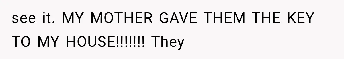 see it. MY MOTHER GAVE THEM THE KEY TO MY HOUSE!!!!!!! They