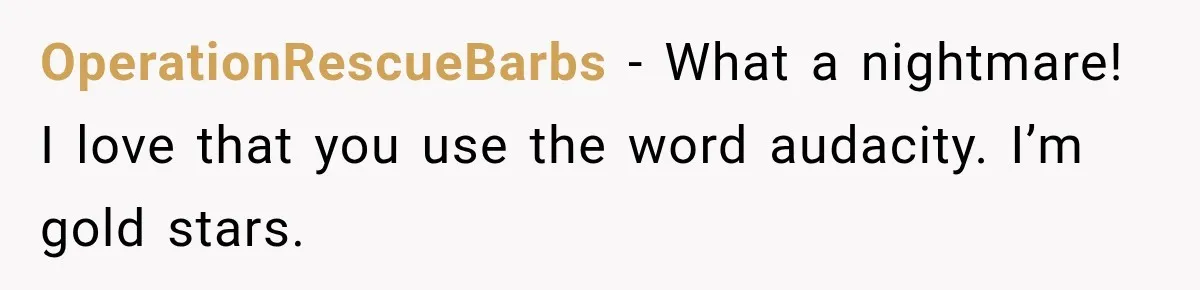 OperationRescueBarbs − What a nightmare! I love that you use the word audacity. I’m gold stars.