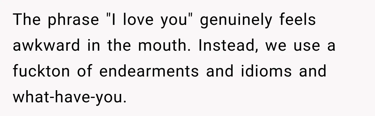 The phrase "I love you" genuinely feels awkward in the mouth. Instead, we use a fuckton of endearments and idioms and what-have-you.