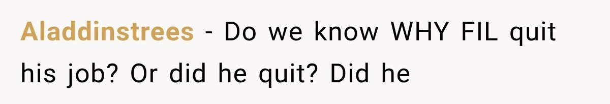 Aladdinstrees − Do we know WHY FIL quit his job? Or did he quit? Did he