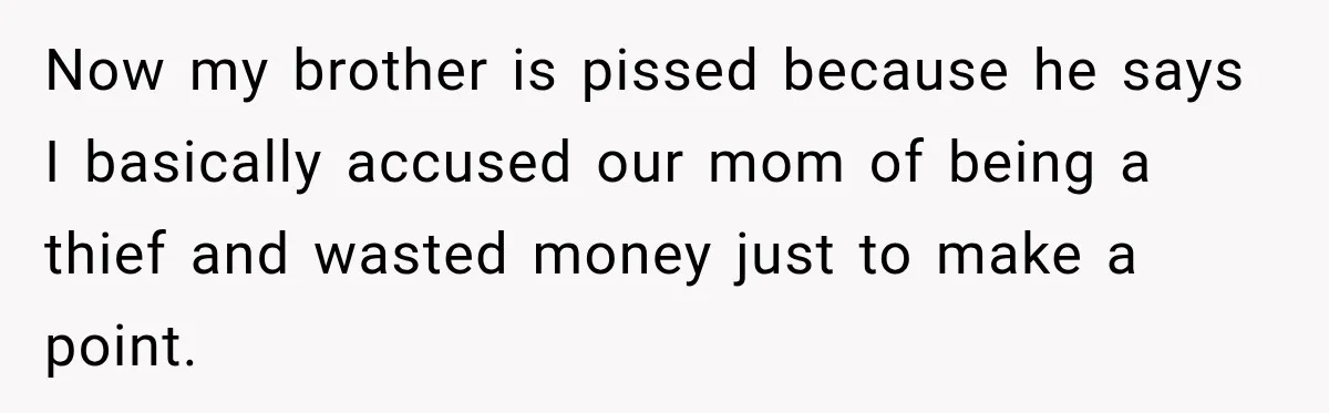 Now my brother is pissed because he says I basically accused our mom of being a thief and wasted money just to make a point.