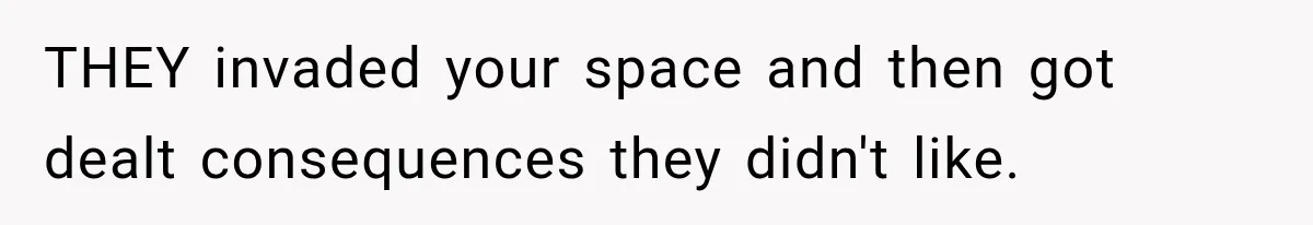 THEY invaded your space and then got dealt consequences they didn't like.