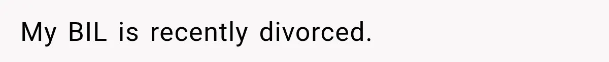 My BIL is recently divorced.
