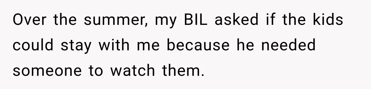 Over the summer, my BIL asked if the kids could stay with me because he needed someone to watch them.