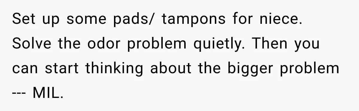 Set up some pads/ tampons for niece. Solve the odor problem quietly. Then you can start thinking about the bigger problem --- MIL.