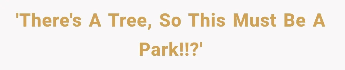 'There's a tree, so this must be a park!!?'