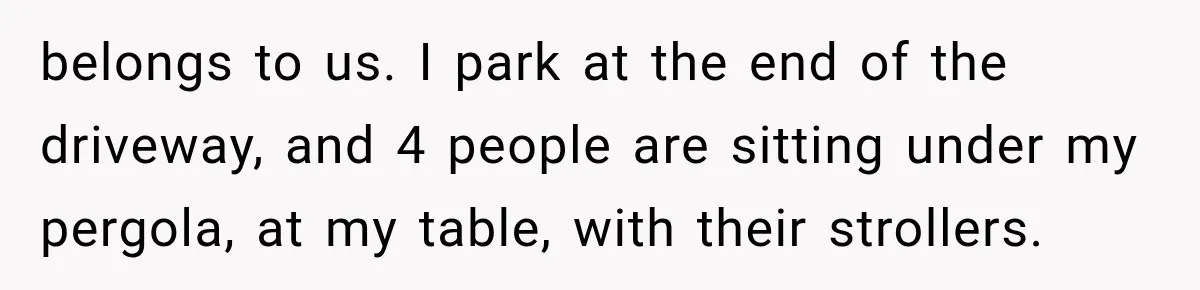 belongs to us. I park at the end of the driveway, and 4 people are sitting under my pergola, at my table, with their strollers.