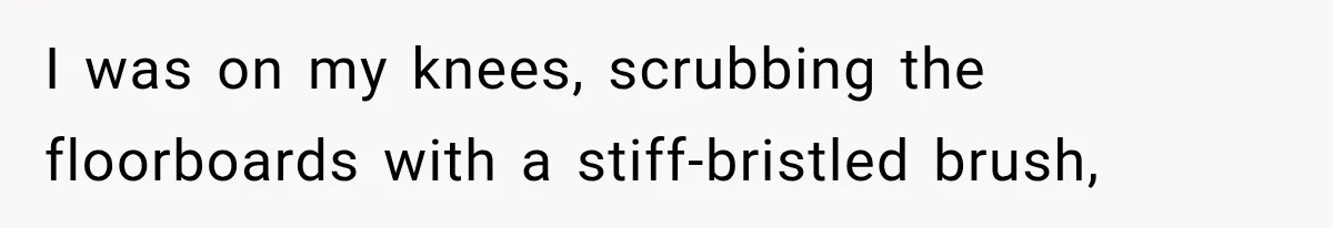 I was on my knees, scrubbing the floorboards with a stiff-bristled brush,