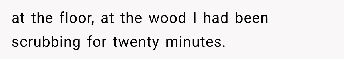 at the floor, at the wood I had been scrubbing for twenty minutes.