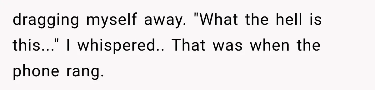 dragging myself away. "What the hell is this..." I whispered.. That was when the phone rang.