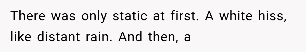 There was only static at first. A white hiss, like distant rain. And then, a