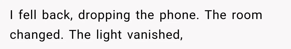 I fell back, dropping the phone. The room changed. The light vanished,