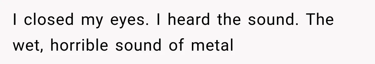 I closed my eyes. I heard the sound. The wet, horrible sound of metal