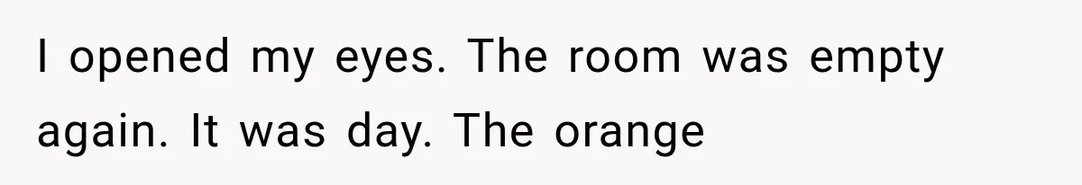 I opened my eyes. The room was empty again. It was day. The orange