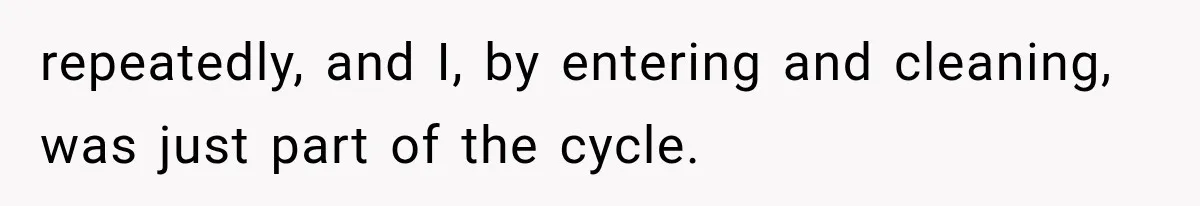 repeatedly, and I, by entering and cleaning, was just part of the cycle.