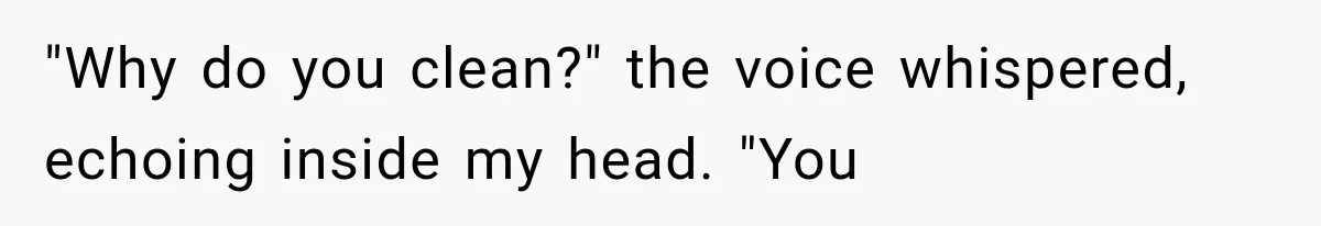 "Why do you clean?" the voice whispered, echoing inside my head. "You