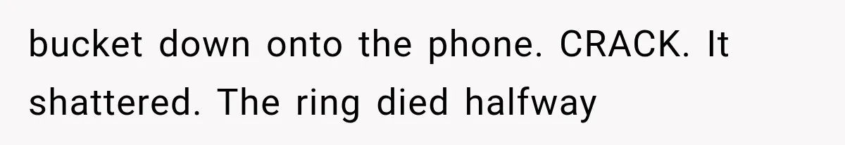 bucket down onto the phone. CRACK. It shattered. The ring died halfway